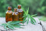 7 Best CBD Oils to Regenerate Your Skin Head to Toe