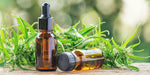 CBD Oil vs. CBD Tincture: What's The Difference?