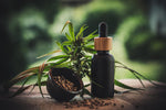 Summers with CBD: Retain Your Skin’s Glow