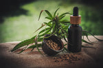 Best CBD Products 2020