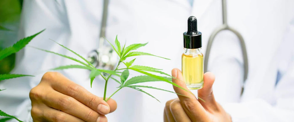 Guide to Getting Started with CBD