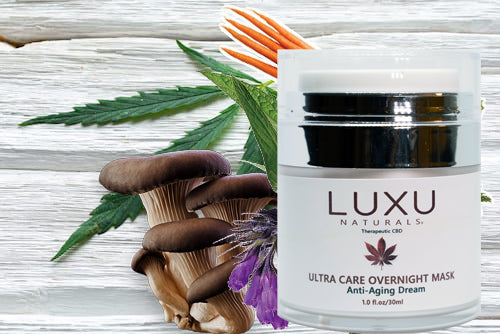 Ultra Care Overnight Mask