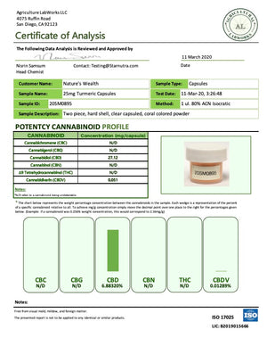 Natures Wealth - 1500mg Turmeric CBD Capsules